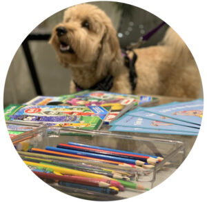 pediatric dentistry center puppy having fun